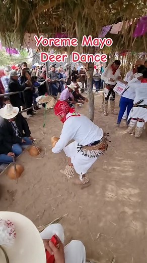 Yoreme Mayo Deer Dance at Indigenous Festival in Echojoa, Sonora, Mexico