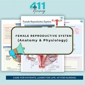 Female Reproductive System Anatomy and Physiology |revision Notes |study Posters | Digital Download - Etsy