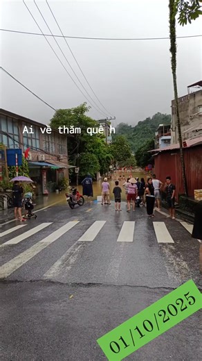 2.8K views · 22 reactions | Ếch Bill on Reels | Facebook