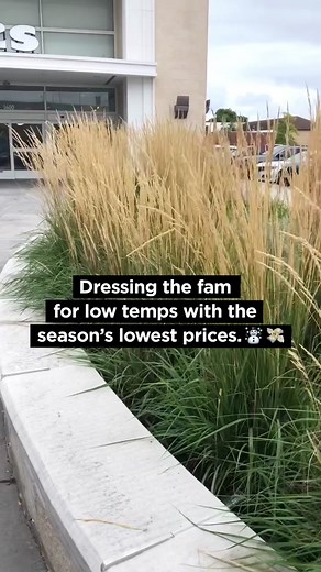 Find this season’s faves for less. #kohlsfinds