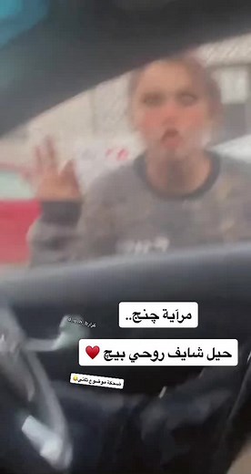 Learning Sign Language Gestures in a Vehicle