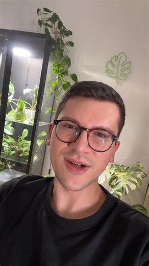 Antwort auf Jeschke zu Weihnachten schön Erde backen statt Kekse #pflanzen #thripse #pflanzentipps #schädlinge #monstera | HustiPlants | Facebook