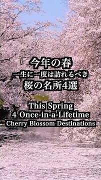 今年の春、一生に一度は訪れるべき、桜の名所4選 弘前公園 高遠城址 吉野山 五稜郭 Once-in-a-Lifetime Cherry Blossom Destinations #日本の春#桜の名所