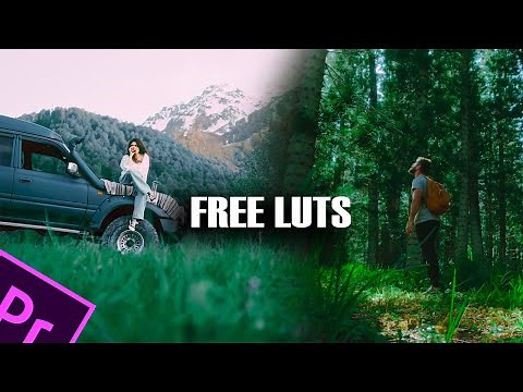 Top 5 Free MOODY GREEN Color Grading Luts For Adobe Premiere Pro