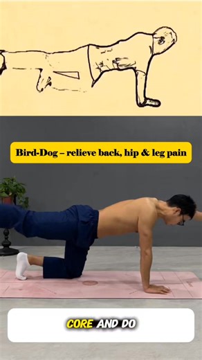 38K views · 431 reactions | The Bird-Dog stretch relieves back, hip, and leg pain. Tighten your core and do 30 reps daily to feel the difference. Have you tried it yet? #birddog #backpainrelief #coreworkout #dailyexercise #vitalglowdaily | Vital Glow Daily | Facebook