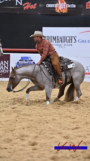 Finals bound at the National Cutting Horse Association Futurity, Uncle Charlie (Metallic Cat x CR Tuff Tizzy), shown by Justin Wright. #TeamMC #rockingp #ncha #stallion #valleyequine | Metallic Cat
