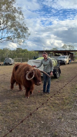 Hamish McBandit... Full Circle Moment at Long Shadows Homestead