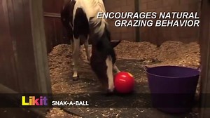 Prepare for Winter with Likit Activity Toys! PROVEN to reduce bad stall habits and promote stall & paddock fun. Learn more & get coupons today! | Manna Pro Horse