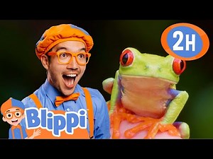 Blippi Finds Frogs in Costa Rica! 🐸 | Fun Educational Videos | Preschool Learning for Kids