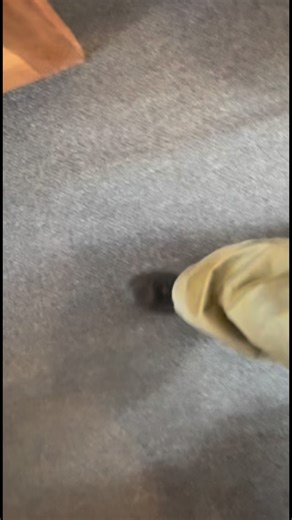 Come with us for day two of a Rose Road photoshoot. #photoshoot #behindthescenes #fashion #athlesuirewear #streetwear | ROSE ROAD