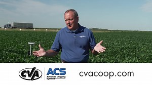 2.9K views · 30 reactions | For the last 10+ years, Central Valley Ag...