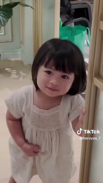 Understanding Puppy Eyes: Lily's Expressions Explained