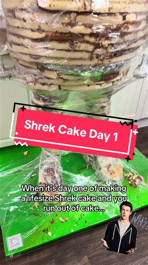 Creating a Lifesize Shrek Cake: Day 1 Challenges