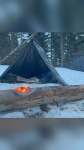 Solo Two Day Winter Bushcraft Camp 2 #bushcraft #build #camp #camping #survival #shelter #wildlife #Outdoors #outdoor #viral #fyp #foryou_fix_001 | Wildness Builder