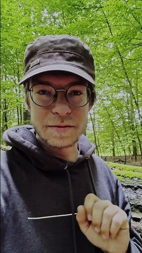 Entdeckung im Wald! #wildlife #naturfilm #beetle #nature #photography #film #forest #canon