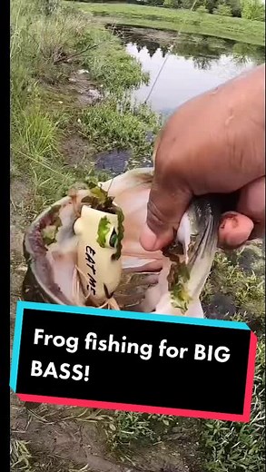 Topwater blowups are the best way to catch bass 🐸 #topwaterfishing #topwaterfrog #googanbaits #fish #fishing #bassfishing #lake #SimlishSessions #fyp