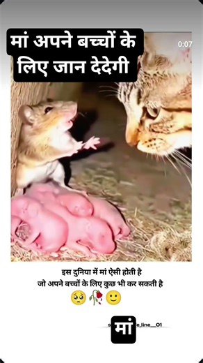 मां अपने बच्चों के लिए जान देदेगी# #likeandsubscribe#motivation#camenat#अपने बच्चों के लिए हाजिर रहत