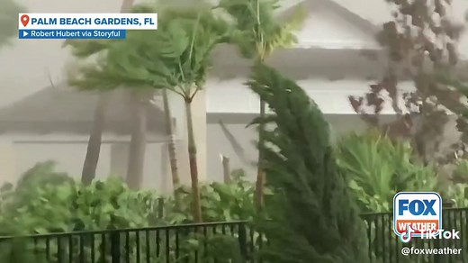 A Florida family captured the terrifying moments a massive tornado blasted through their neighborhood in Palm Beach County on Wednesday as part of a tornado outbreak spawned by Hurricane Milton. #milton #tornadoes #hurricanemilton #florida #foxweather