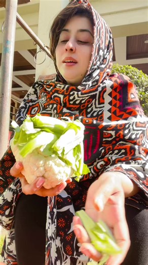 Shezadey Veeron Ko Salam: A Heartfelt Tribute