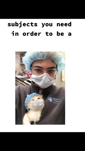 Jobs for Different Subjects to Become a Veterinarian