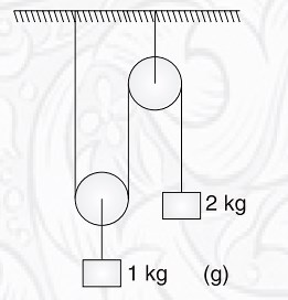 Consider a pulley system with two pulleys: one fixed and one mo... | Filo