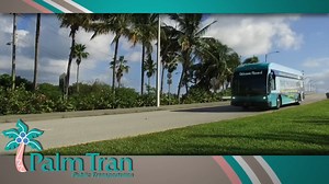 PalmTran is committed to making your health & safety our top priority. All 32 bus routes are now in service with social distancing and sanitizing before and after every trip! For more information visit www.PalmTran.org #PalmTran. Learn More - https://bit.ly/2z5RfQM #WPTVSponsor | WPTV