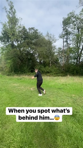 32K views · 120 reactions | Mr Amazing on Reels | Facebook