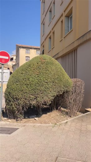 Sur les quais | Crest Drôme France