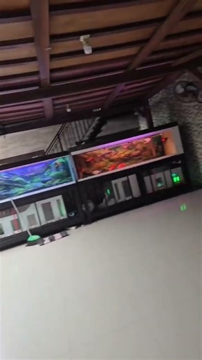 betah Saranya di sini