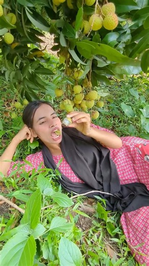 গরমে বেশি বেশি ফল খান সুস্থ থাকুন। Fresh fruits #shorts #trending #funny #viral #youtubeshorts