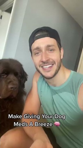 The Ultimate Trick To Giving Your Dog Meds