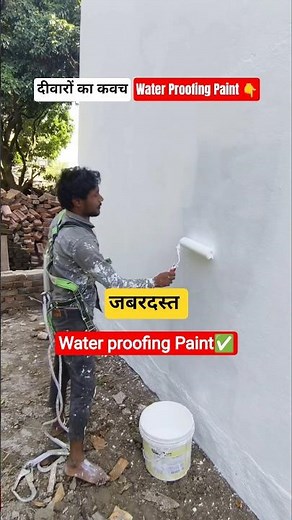 Wall Water Proofing Paint #waterproofing