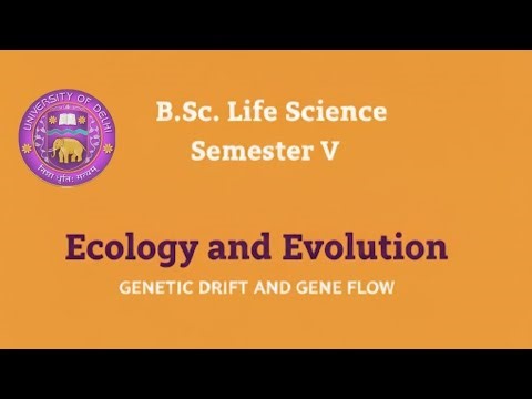 Genetic drift and gene flow |Bsc | zoology | program | du | ecology and evolution | notes | books