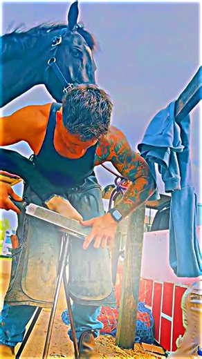 Understanding the Role of Farriers in Horse Care