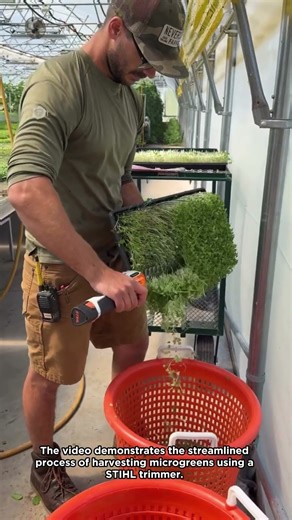 Harvesting Microgreens with an Electric Trimmer