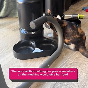 431K views · 1.8K reactions | He who learns how to work the food machine, is king! 藍 | Try Not to Laugh | Facebook