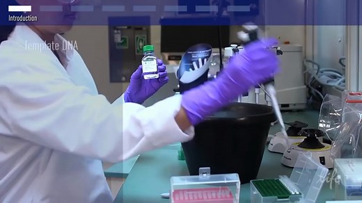 实验操作 | 如何规范配置你的PCR反应体系