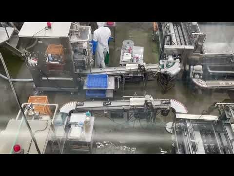 板こんにゃく製造ライン(1)