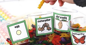 Butterfly Sensory Bin and Sorting Activity