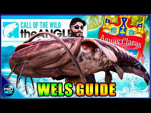 Wels Catfish HOTSPOT GUIDE! | How to Catch a Diamond Wels Catfish! - Call of the Wild theAngler