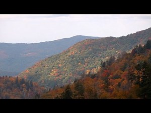 The splendor of fall foliage at Great Smoky Mountains