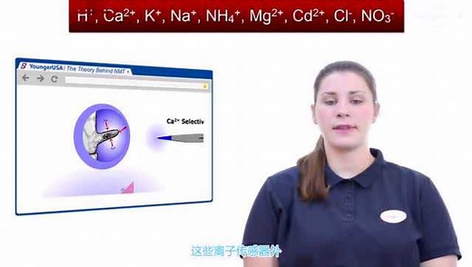 非损伤微测技术（NMT）原理