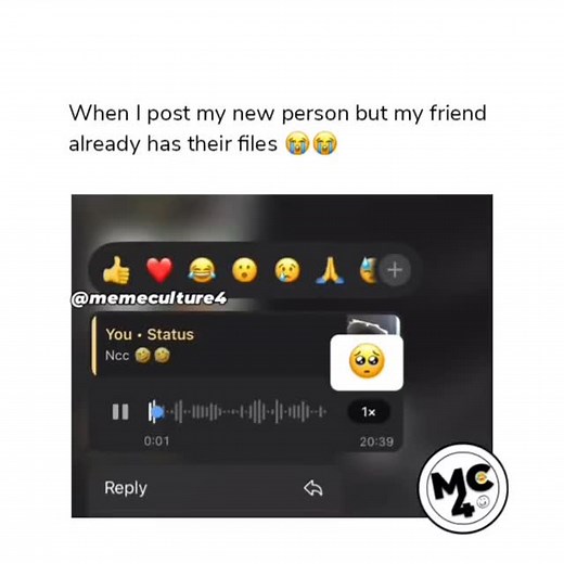 14K views · 396 reactions |  | Meme Culture | Facebook