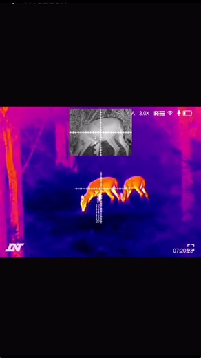 2 deer on the night scope!!! #hunting