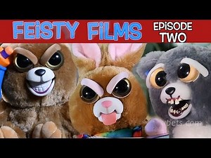 Feisty Films Episode 2: The Feisty Pets Strike Back!