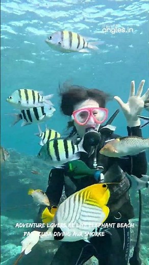 Andaman and Nicobar Islands Travel Guide | Best Places to Visit | Travel Angles