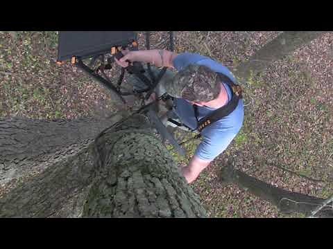 How to hang a tree stand