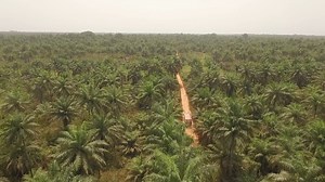 2.1K views · 86 reactions | Renault Trucks has been supporting the World Food Programme since 2012, training more than 200 agents in Africa to make sure food is delivered wherever necessary regardless of conditions. The World Food Programme was awarded the Peace Nobel Prize in 2020. We are simply proud to be a part of it. | Renault Trucks | Facebook