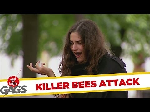 Attack of the Killer Beehive Prank