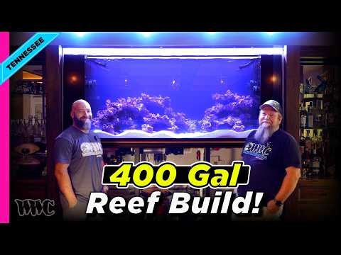 Installing a 400 Gallon In-Wall Custom Reef Aquarium | Gallatin, Tennessee
